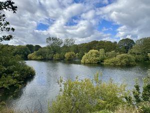 Photo 2- click for photo gallery